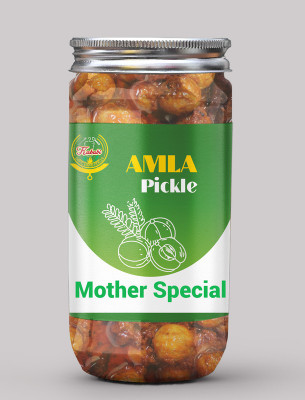 kababi Mother Special Amla Pickle Fresh Amla/Gooseberry Ka Aachar(400G) Amla Pickle(400 g)