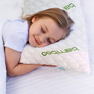 ORCHEED Bamboo Kids Pillow 12*18 Inch Ultra Supportive Shredded Toddler Pillows - Memory Foam Stripes Sleeping Pillow Pack of 2(Green & White)