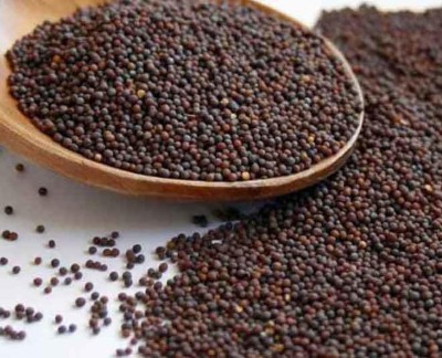 V Seed Sarso Saag Mustard Seed Seed(55 per packet)