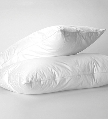 RACCOON Microfibre Solid Sleeping Pillow Pack of 2(White)
