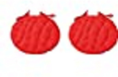 STAR ANGLE Microfibre Solid Cushion Pack of 2(Red)