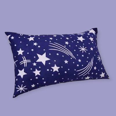 SOFT SNOOZE Microfibre Toons & Characters Sleeping Pillow Pack of 1(Blue)