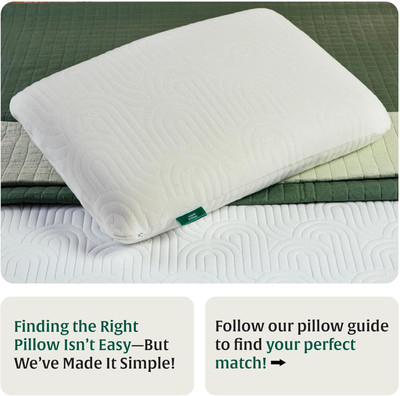 Zashvi 0 Microfibre Nature Cushion Pack of 1(White)