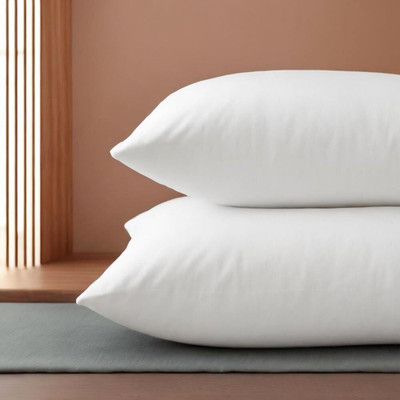 Home Stylish Microfibre Solid Floor Cushion Pack of 2(White)