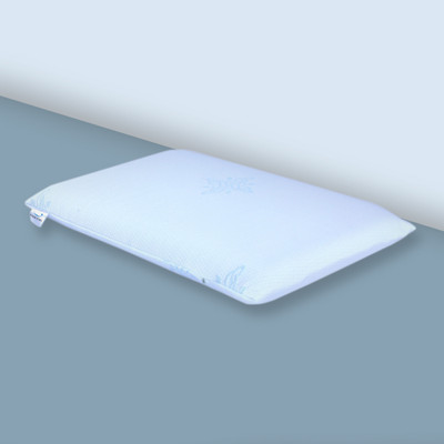 FOAM HOME Foam Solid Sleeping Pillow Pack of 1(White/Off White)