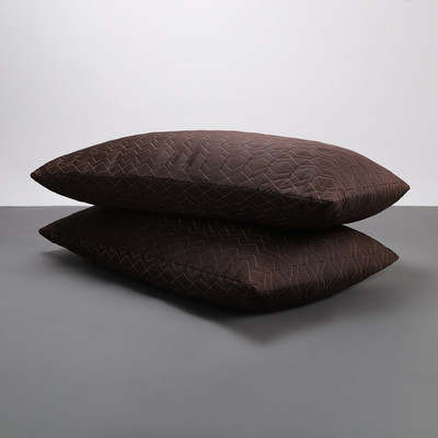 LA VERNE QUILTED Microfibre Solid Sleeping Pillow Pack of 2(Brown)