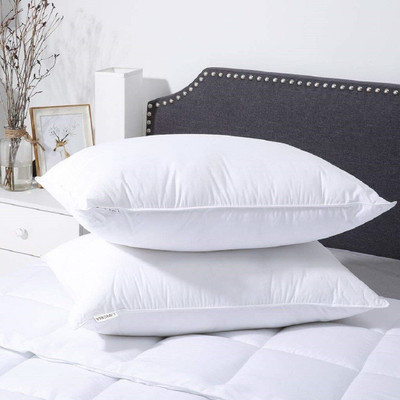 Changers Microfibre Sleeping Pillow Pack of 2 Solid(White)