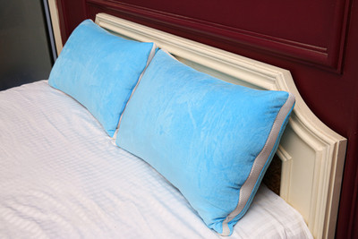 BETTER SLEEP furnishing Microfibre Sleeping Pillow Pack of 2 Solid(Blue, White)