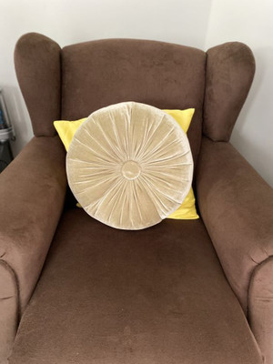 URBAN SHADOW Classic Look Microfibre Nature Cushion Pack of 1(Gold)