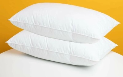 dezire group Aqualite 16*24*5 pillow nt90 Microfibre Solid Sleeping Pillow Pack of 2(White)