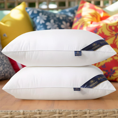 CIEZAR Microfibre Solid Sleeping Pillow Pack of 2(White)
