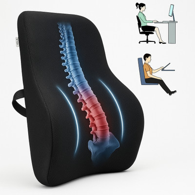 longfit Lumber Back Support Cushion for Office, Home, Car & Travel Memory Foam Nature Lumbar Pillow Pack of 1(Black)