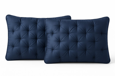 Flipkart SmartBuy Microfibre Sleeping Pillow Pack of 2 Solid DreamPlush(Blue)