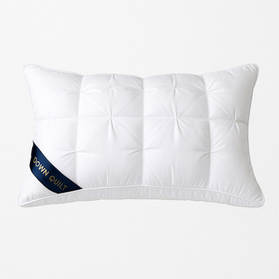 Flipkart SmartBuy Microfibre Sleeping Pillow Pack of 1 Solid(White)