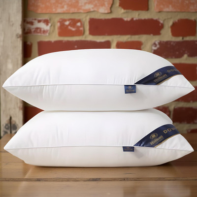 CIEZAR Microfibre Solid Sleeping Pillow Pack of 2(White)