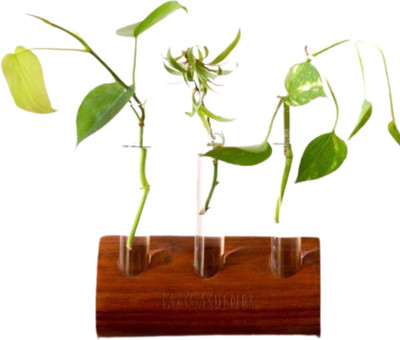 lazy gardener Timber Grove Trio Wall Mounted (Pack of 1) Plant Container Set(Wood)