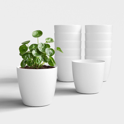 Yuccabe Italia SHERA Stella Flower Pots for Home Décor | 4 Inch Planter for Indoor & Outdoor Plant Container Set(Pack of 12, Plastic)