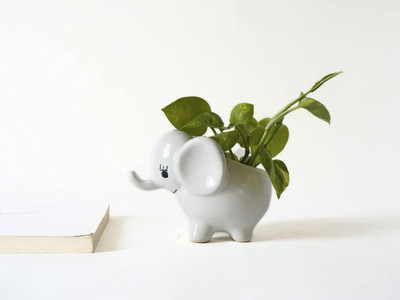 Gachera Gachera Cute Small Ceramic Elephant Planter | Best for Desk, Gifting & Garden Plant Container Set(Ceramic)