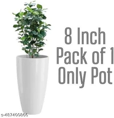 Funtastik Plant Container Set(Plastic)