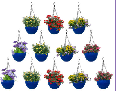 Zobby Hanging / Hooked Flower Pots for Home, Terrace, Balcony, Garden Decoration Plant Container Set(Pack of 12, Plastic)