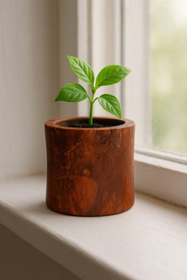 vanak Wooden Flower Plant Pot / Pen Holder Plant Container Set(Wood)