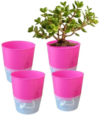 KUMUDAM Pink Self Watering Pots For Home/Office/Tabletop Indoor Plants Plant Container Set(Pack of 4, Plastic)