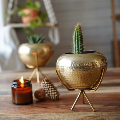 BEHOMA Metal Mini Hammered Bud Planter for Home Decor & Office Decor, Golden, Set of 2 Plant Container Set(Pack of 2, Metal)