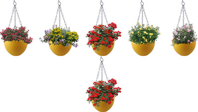 Zobby Plastic Chain Hanging Pot / Ceiling Pot, Decorative Pots for Balcony / Terrace Plant Container Set(Pack of 6, Plastic)
