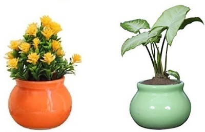 Jimkia Ceramic Planter Matka Shape for Home&Garden-Orange&Green(Without Plant) Plant Container Set(Pack of 2, Ceramic)