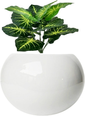 Luminescence Enterprises Plant Container Set(Ceramic)