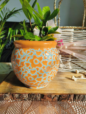 Niyara Mustard Drop 6 INCHES Plant Container Set(Ceramic)