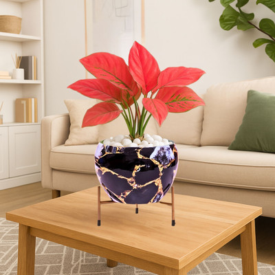 Titir Black Gold Metal Indoor Plants Pot Organizer for Home & Kitchen|6 in pot stand| Plant Container Set(Metal)