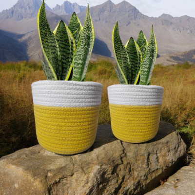 DYARCHY Plant Container Set(Pack of 2, Fabric)