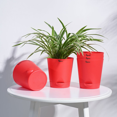 UGAOO Krish Red Self Watering Planter - 4 Inch Plant Container Set(Pack of 5, Plastic)