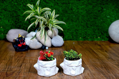 Bright Shop Ceramic Hancrafted Succulent Planter Pot Plant Container Set(Pack of 5, Ceramic)