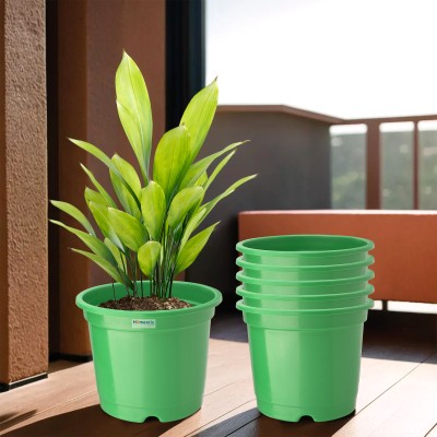 HOMESTIC (Pack of 6) Synergy Phooldaan Flower Pot for Home Décor (6 Inch) Green Plant Container Set(Pack of 6, Plastic)