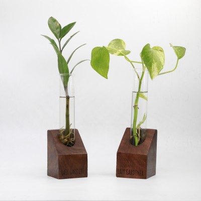 lazy gardener Timber Grove Solo Table Top Plant Container Set(Pack of 2, Wood)