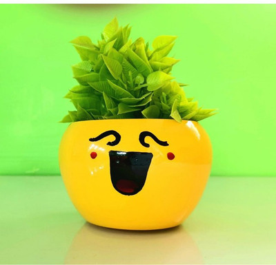 MetalDesign Yellow Metal Smiling Plant Pot Plant Container Set(Ceramic)