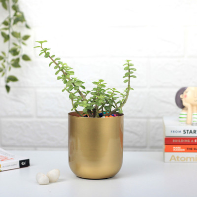 Urban Plant Gold Finish Planter for Living Room Table Decor | Indoor Planter Plant Container Set(Metal)