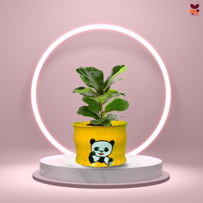 HUNAR TRIBE HH004 Plant Container Set(Rubber)
