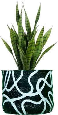 HUNAR TRIBE AU006 Plant Container Set(Rubber)