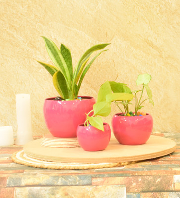SONE KEY CHIDIYA Desktop Planter/Home/Indoor/Outdoor/Plant Container 5,4,3 inch Combo Set/Maroon Plant Container Set(Pack of 3, Metal)