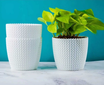 SNSHOPEE 3 Premium White plant pots flower pots Planter Gamla for Table Top plants Plant Container Set(Pack of 3, Plastic)