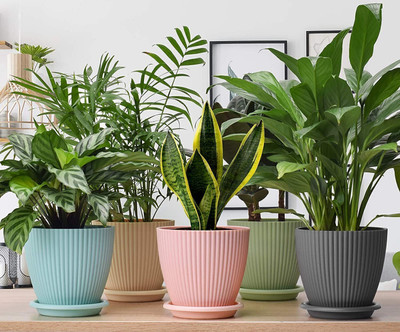 PSA Plants Colorful Plant Pots Outdoor Plastic Plant Planters with Drainage Plant Container Set(Pack of 5, Plastic)