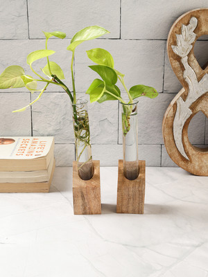 VarEesha Mango Wood Test Tube Planters Set of Two Plant Container Set(Pack of 2, Glass)