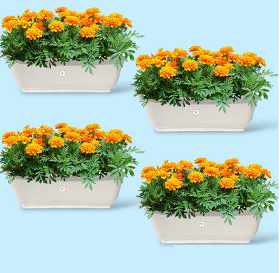 VINSHRA White 20 inch Rectangular Window Planter/ Pots -Set of 4 Plant Container Set(Pack of 4, Plastic)