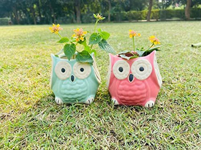 Jimkia Ceramic Planter Pot Handmade Owl shape for home Pack of 2(Plant Not Included) Plant Container Set(Pack of 2, Ceramic)