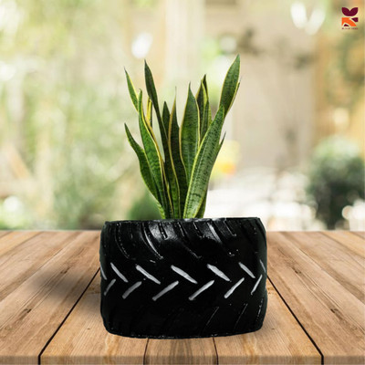 HUNAR TRIBE AU010 Plant Container Set(Rubber)