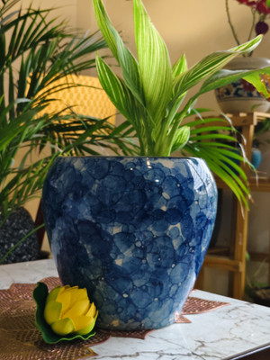 Niyara Stylish Ceramic Blue Glossy Texture planters pot size -8 inches Plant Container Set(Ceramic)