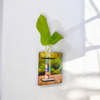 Yey Test Tube Wooden Planter 2 in 1 Magnetic / Wall Mounted Plant Container Set(Wood, Glass)